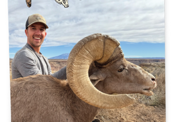 Utah Wild Sheep Foundation Membership