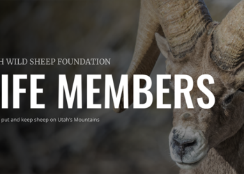 Become a Utah Wild Sheep Foundation Life Member