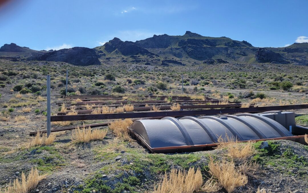 What is a Sheep Guzzler?