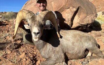 Utah Wild Sheep Foundation Announces Exclusive Tags for 2024 Banquet
