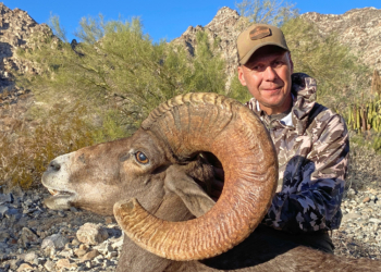 Desert Sheep Drawing Entry – 2027-2028 Season