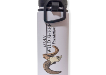 UWSF Logo Water Bottle