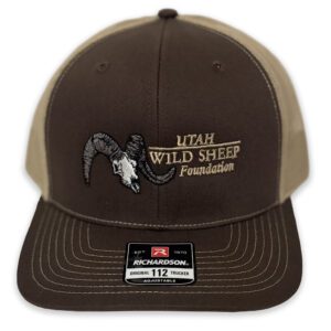 Brown UWSF Logo Hat