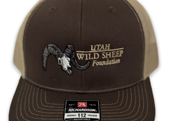 Brown UWSF Logo Hat