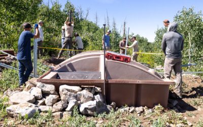 Nebo Guzzler Project Update