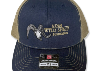 Navy/Caramel UWSF Logo Hat