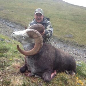 Stone Sheep Hunt with Stone and Folding Mountain Outfitters