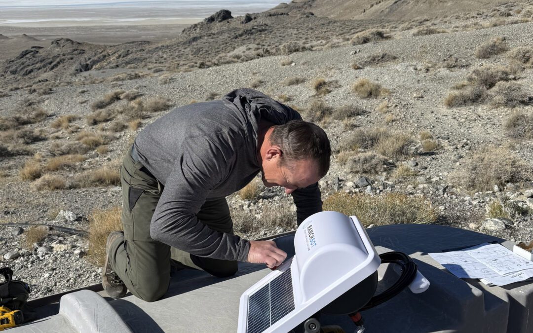 UWSF using Ranchbot Technology for Wild Sheep