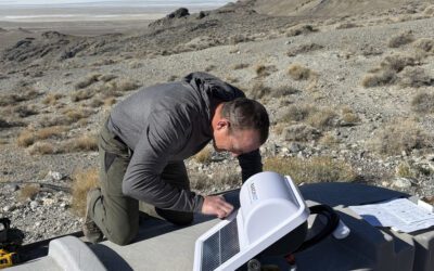 UWSF using Ranchbot Technology for Wild Sheep