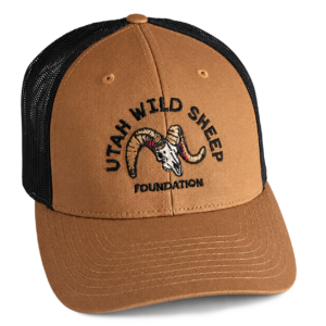 Brown UWSF Arch Logo Hats