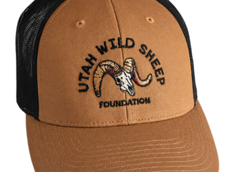 Brown UWSF Arch Logo Hats