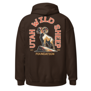 UWSF Retro Arch Design Heavy Blend Hoodie