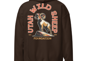 UWSF Retro Arch Design Heavy Blend Hoodie