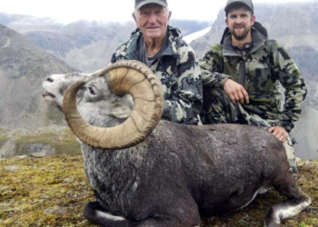 Stone Sheep Hunt Sweepstakes – July/August 2028
