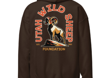 UWSF Retro Arch Design Heavy Blend Hoodie
